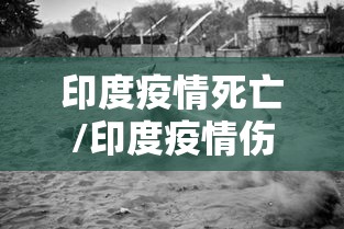 印度疫情死亡/印度疫情伤亡一共多少人了 印度疫情死亡/印度疫情伤亡一共多少人了