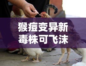 辽宁新增7例本土确诊/31省新增14例确诊 本土7例在辽宁