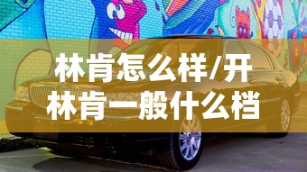 林肯怎么样/开林肯一般什么档次人 林肯怎么样/开林肯一般什么档次人