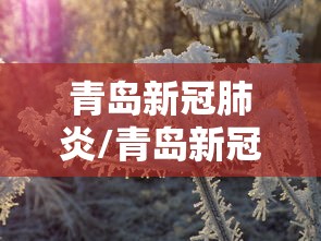 青岛新冠肺炎/青岛新冠最新消息