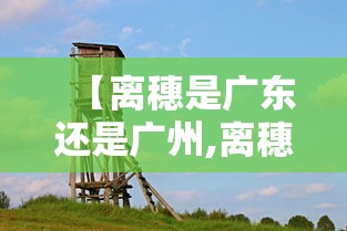 【离穗是广东还是广州,离穗是离开广州还是离开广东】