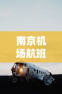 南京机场航班查询（南京机场航班查询电话）