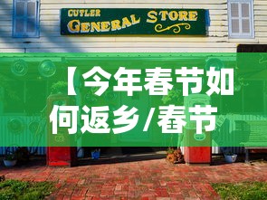 【今年春节如何返乡/舂节反乡】
