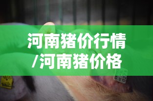 【浙江新增31例本土确诊病例/浙江新增新型冠状病毒】