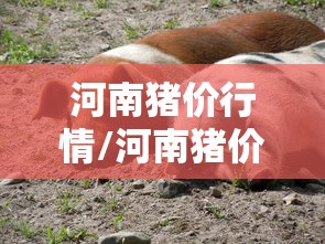 北京新增98例感染者社会面6例/北京增本土感染者4例
