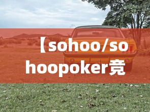 【sohoo/sohoopoker竞技联盟安卓版手机版】 【sohoo/sohoopoker竞技联盟安卓版手机版】
