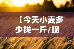 病毒学家张永振被关闭实验室/张永振教授 病毒学家张永振被关闭实验室/张永振教授