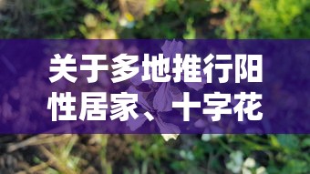 31省份新增本土15例（31省份新增本土447 1301）