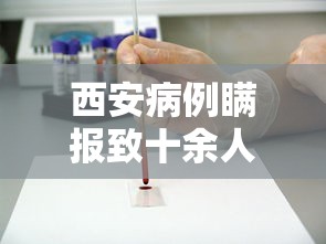 西安病例瞒报致十余人感染被立案/西安 病例