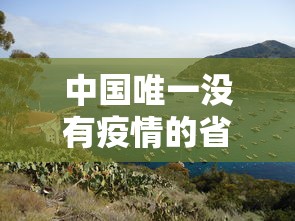 中国唯一没有疫情的省/中国唯一没新冠的省份 中国唯一没有疫情的省/中国唯一没新冠的省份