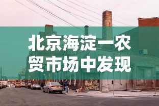 广州番禺发布最新通告/广州番禺今天有没有影响 广州番禺发布最新通告/广州番禺今天有没有影响