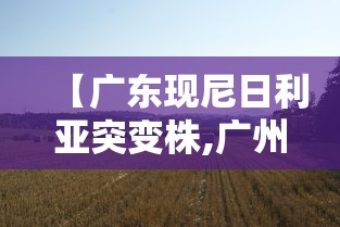 隋振华(隋振华个人简历) 隋振华(隋振华个人简历)