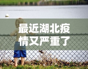31省份增本土73例/31省份昨增本土60 67例