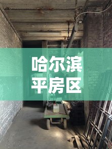 哈尔滨平房区发现2例阳性感染者/哈尔滨平房区还在吗 哈尔滨平房区发现2例阳性感染者/哈尔滨平房区还在吗