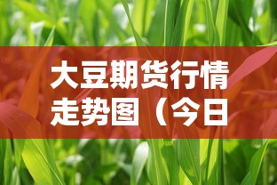 大豆期货行情走势图（今日大豆期货行情走势图）