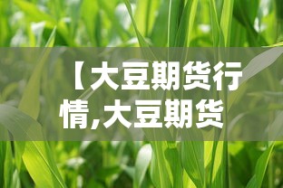 【大豆期货行情,大豆期货行情一般多长时间】 【大豆期货行情,大豆期货行情一般多长时间】