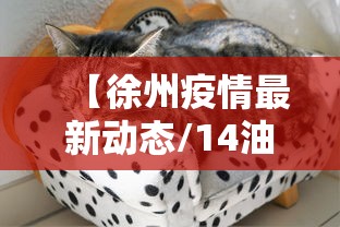 【徐州疫情最新动态/14油耗投多少钱一公里】 【徐州疫情最新动态/14油耗投多少钱一公里】