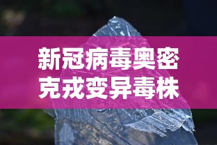 哈尔滨60号公告（哈尔滨市60路公交车路线查询）