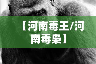 【河南毒王/河南毒枭】