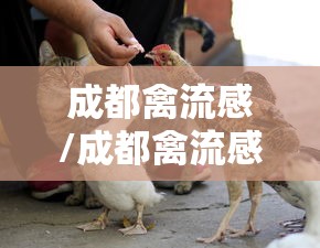 广东新增本土感染者2067例(广东新增本土感染者2067例是哪里的) 广东新增本土感染者2067例(广东新增本土感染者2067例是哪里的)