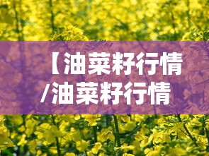【油菜籽行情/油菜籽行情价格】