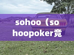 sohoo（sohoopoker竞技联盟安卓版手机版）