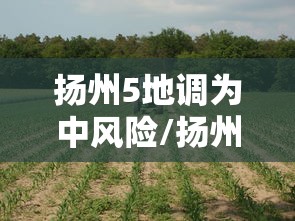 商务车七座最新款(长城商务车七座最新款) 商务车七座最新款(长城商务车七座最新款)