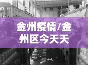 金州疫情/金州区今天天气情况