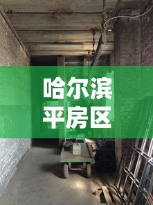 哈尔滨平房区发现2例阳性感染者:哈尔滨平房Y002 3 哈尔滨平房区发现2例阳性感染者:哈尔滨平房Y002 3