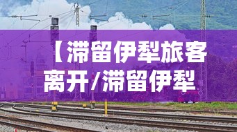 四川新增12例境外输入确诊/四川确诊病例最新情况