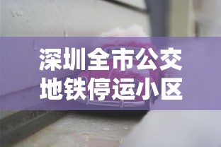 十档行情(十档行情的使用技巧) 十档行情(十档行情的使用技巧)