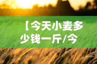 【今天小麦多少钱一斤/今天小麦价格是多少钱一公斤】