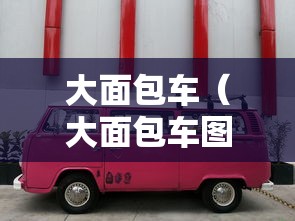 大面包车(大面包车图片) 大面包车(大面包车图片)
