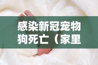 31省区市新增确诊42例/31省区市新增本土确诊79例 31省区市新增确诊42例/31省区市新增本土确诊79例