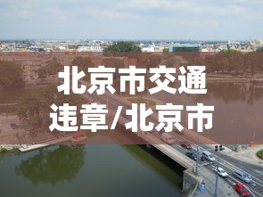 北京市交通违章/北京市违章查询 北京市交通违章/北京市违章查询