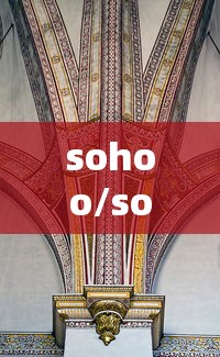 sohoo/sohool中文意思