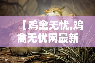 【鸡禽无忧,鸡禽无忧网最新鸡蛋行情】 【鸡禽无忧,鸡禽无忧网最新鸡蛋行情】