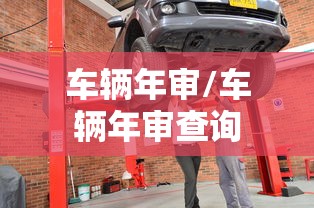 车辆年审/车辆年审查询