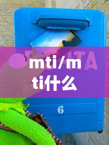mti/mti什么学校