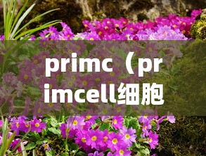 primc（primcell细胞悬液移植术）