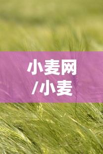 小麦网/小麦网红