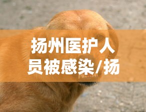 扬州医护人员被感染/扬州医护人员被感染病例
