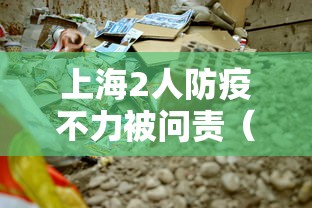 上海2人防疫不力被问责（上海防疫专家）
