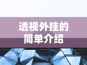 透视外挂的简单介绍 透视外挂的简单介绍