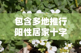 包含多地推行阳性居家十字花隔离的词条