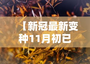 包含新发地45人咽拭子阳性的词条 包含新发地45人咽拭子阳性的词条