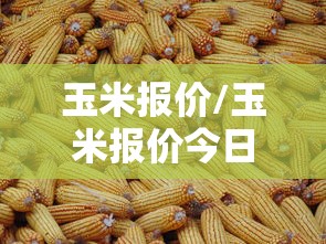 玉米报价/玉米报价今日行情 玉米报价/玉米报价今日行情
