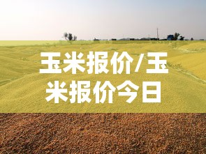 玉米报价/玉米报价今日行情 玉米报价/玉米报价今日行情