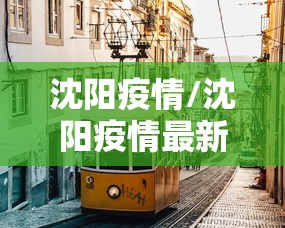 沈阳疫情/沈阳疫情最新消息今天情况通报