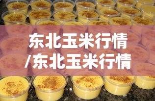 东北玉米行情/东北玉米行情走势未来预测 东北玉米行情/东北玉米行情走势未来预测